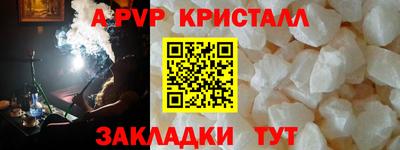 прущие грибы Нальчик
