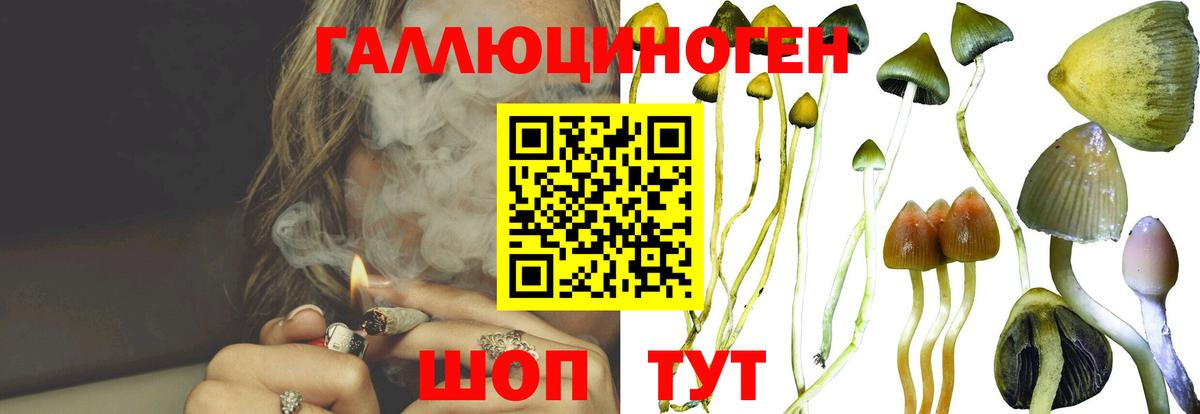 Псилоцибиновые грибы мухоморы Верхняя Салда